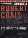 Stalking the Angel